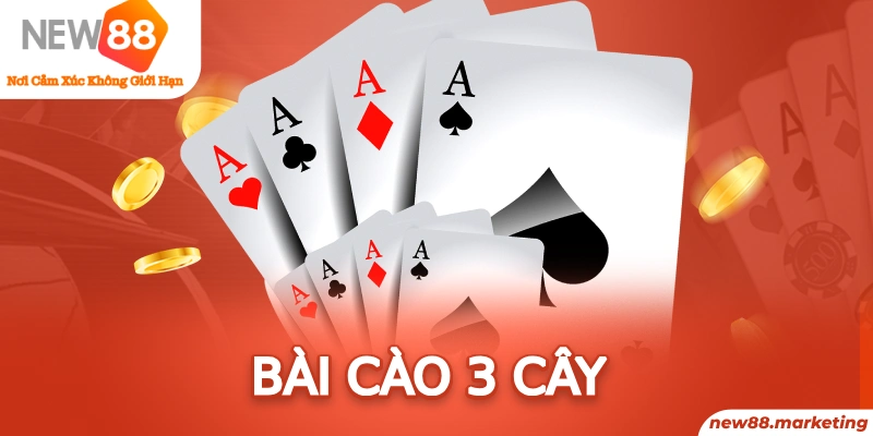51 hot live long bảo trong baccarat là gì