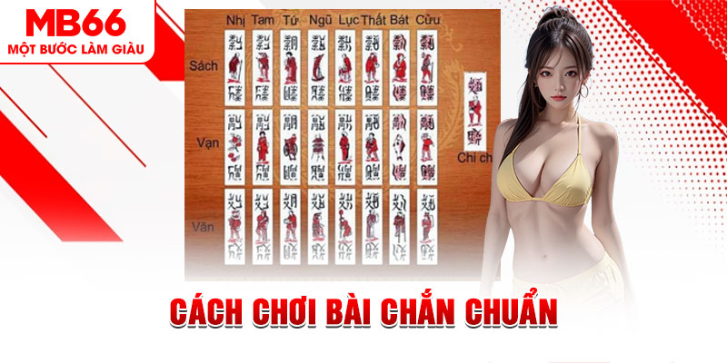 51 hot live gà chọi cậu thanh