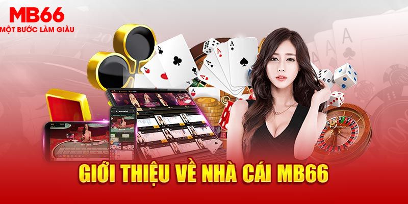 51 hot live EVO Trực Tuyến