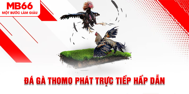 51 hot live dự đoán xổ số miền trung