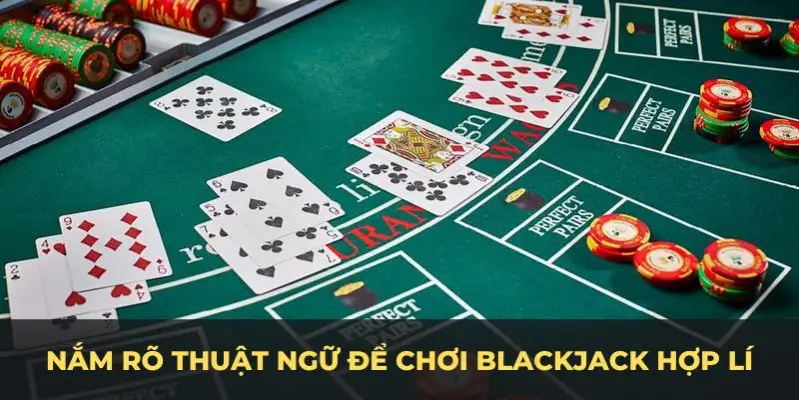 51 hot live c1 gà chọi