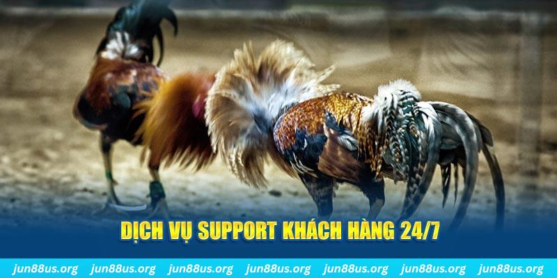 51 hot live ÁT CHỦ BÀI GIÀNH LẤY ZHUANG NIUNIU ( XEM 4 LÁ )