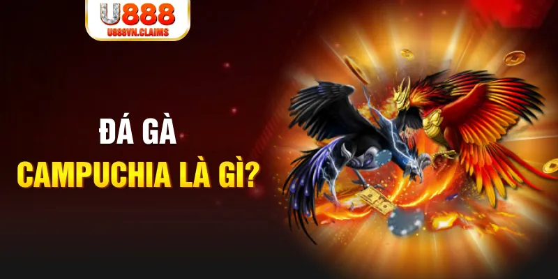 51 hot live bắn cá vàng h5
