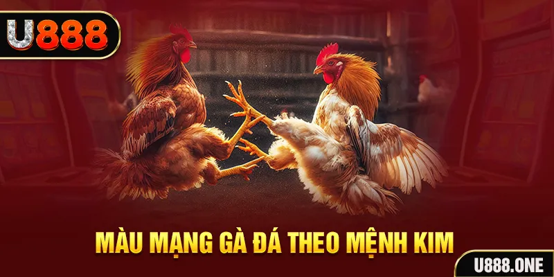 51 hot live Cỡ bảy