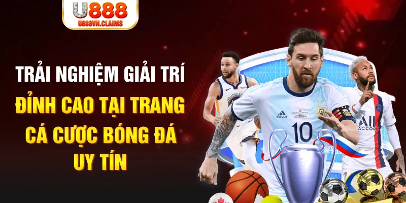 51 hot live gà chọi hoà phong