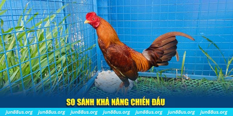 51 hot live CQ9 Điện Tử