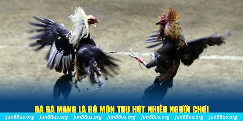 51 hot live bắn cá au88