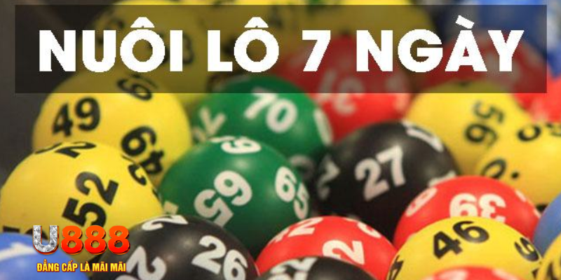 51 hot live what are slot machines