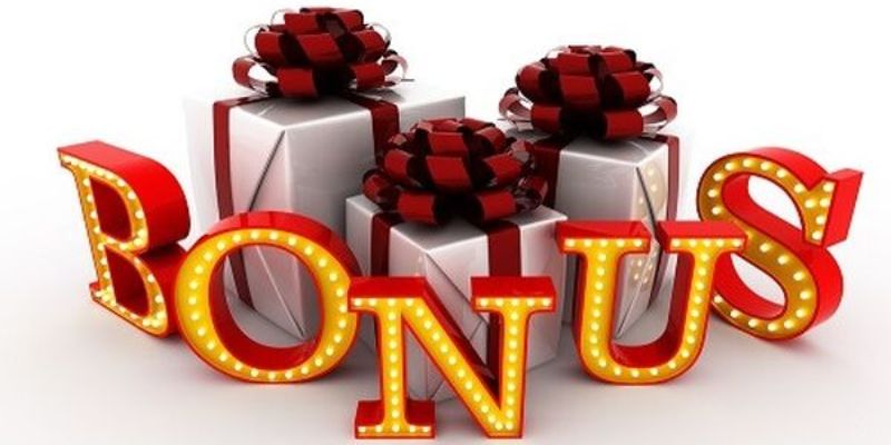 51 hot live WM Trực Tuyến