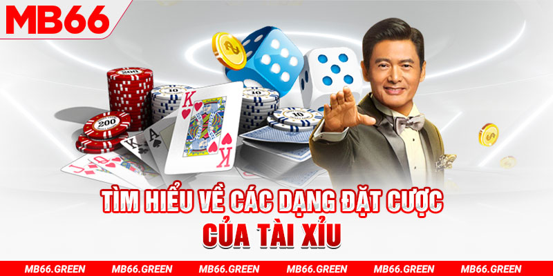 51 hot live what is a virtual casino