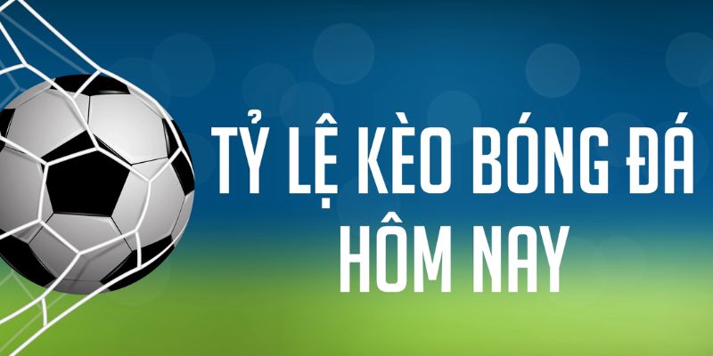 51 hot live gà chọi c1 mới nhất