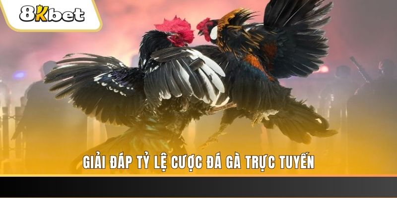 51 hot live xổ số đài miền trung