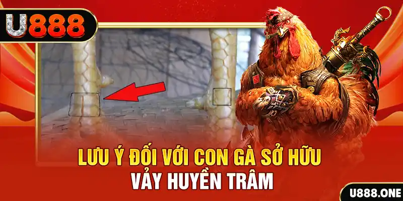 51 hot live kết quả xổ số miền nam hôm nay