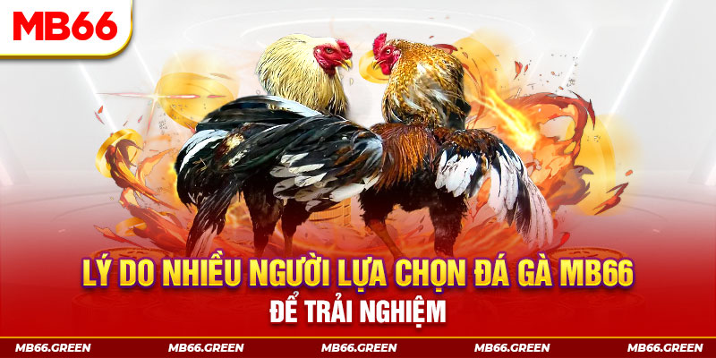 51 hot live xổ số miền bắc thứ bảy hàng tuần