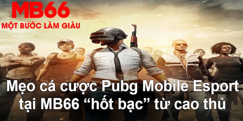 51 hot live VA Bắn cá