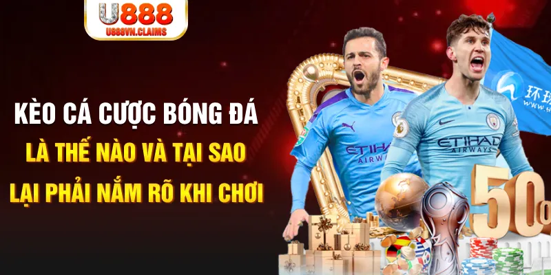 51 hot live xổ số kiến thiết