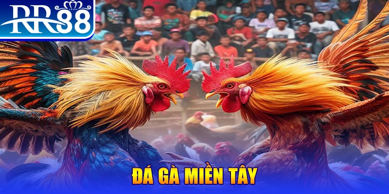 51 hot live no hu doi thuong ai