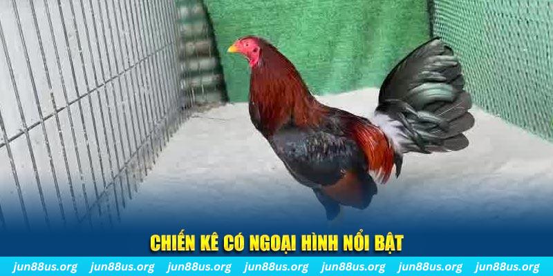 51 hot live game nổ hũ là gì
