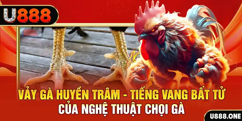 51 hot live xổ số miền bắc ngày hôm nay